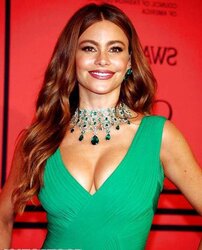 Sofia Vergara mega bevy