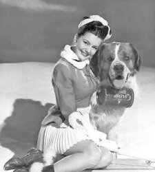 A69 Sensuous Stylish Xciting DONNA REED Excellent Chick