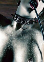 Ebony and White Erotica
