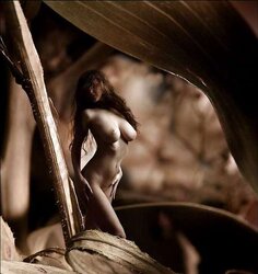 Ebony and White Erotica