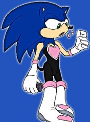 Sonic The Hedgehog - Herm