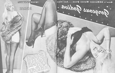 Tights pages from vintage magazines