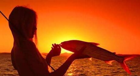 Gone Fishing.
