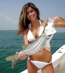Gone Fishing.
