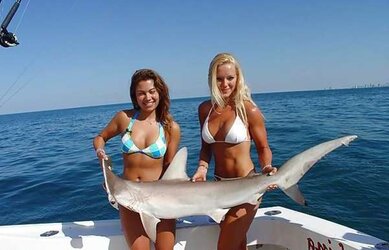 Gone Fishing.