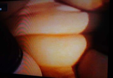 Cuckload chubby housewife