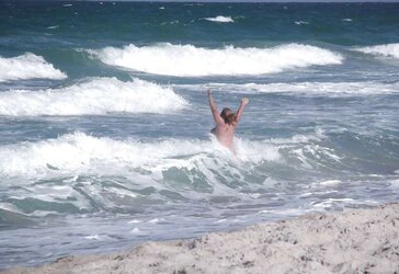 The beach ,the birds and a few nudes