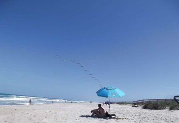 The beach ,the birds and a few nudes