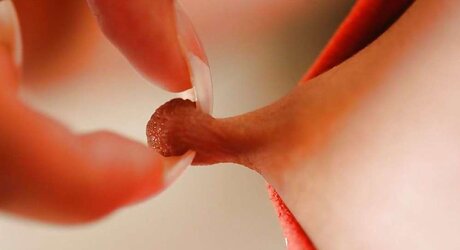 Delicatessen