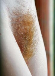 Redheads with fur covered coochies