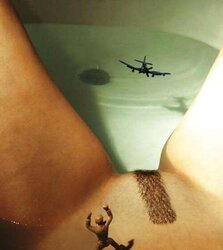 De la chatte, rien que des chattes,encore des chattes