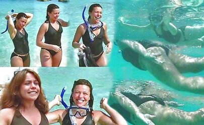 Rachael Ray Appreciation Gallery with fakes
