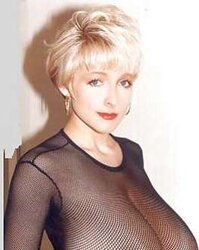Danni Ashe #9 (Some vintage pictures)