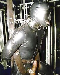 What I like doing to my gimps.