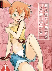 Pokemon Misty Hentai