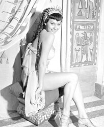 Sophia Loren gigs