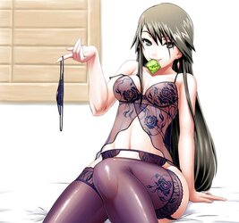 Hentai and Ecchi Favorites