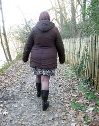 Into the wood