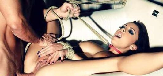 Collars, chokers, chains, ball gags, molten beotches