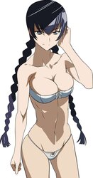 Highschool Of The Dead (HOTD) Hentai