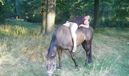 Hengst und Stute