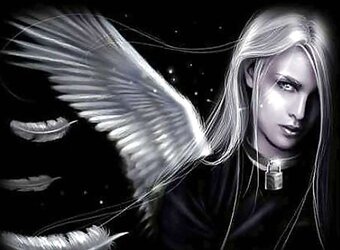 Nachtengel - Angels