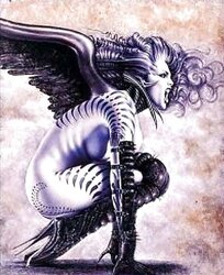 Nachtengel - Angels