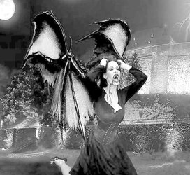 Nachtengel - Angels