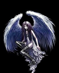 Nachtengel - Angels