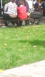 Upskirts undies female romanian parck