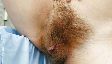Wooly Thicket