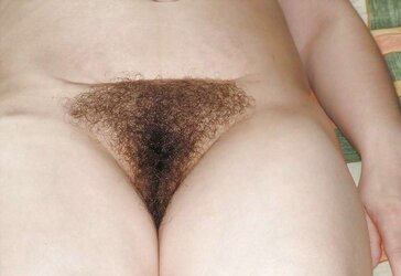 Wooly Thicket