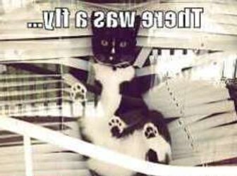 Funny Stuff because it cant all be porn