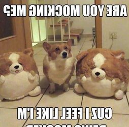 Funny Stuff because it cant all be porn