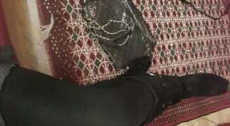Persian fantastic soles