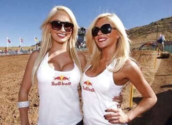 Crimson Bull Gals by TROC