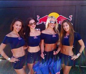 Crimson Bull Gals by TROC