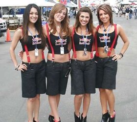 Crimson Bull Gals by TROC