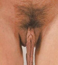 Random images I found intriguing