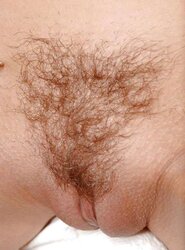Twat close-up