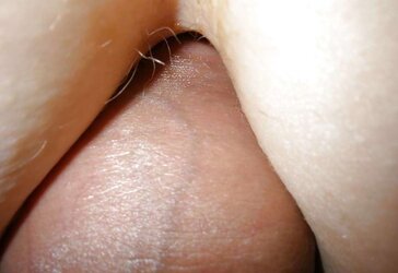 Bi Damsel