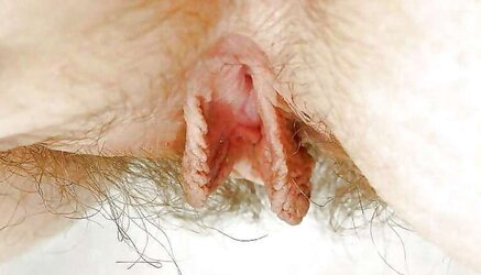 Ample Clitties