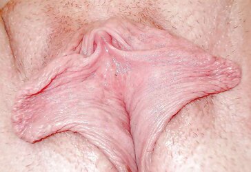Ample Clitties
