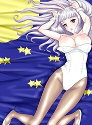 Stockings and Pantyhose Anime-Manga-Hentai Volume two.