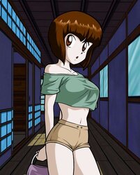 Ranma - The Kuno Penetration