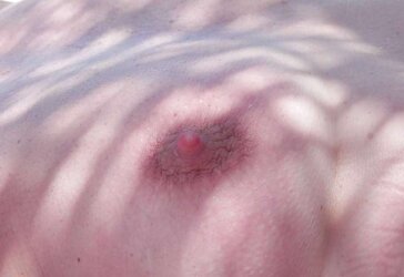 Elke am strand, urlaub