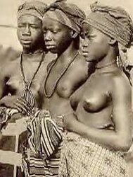 Bevy of vintage porn from 1880 to 1990!