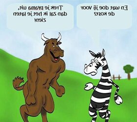 Time for a laugh..