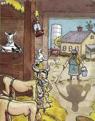 Time for a laugh..