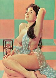 Potpurri of Retro Ero and Porn Pictures